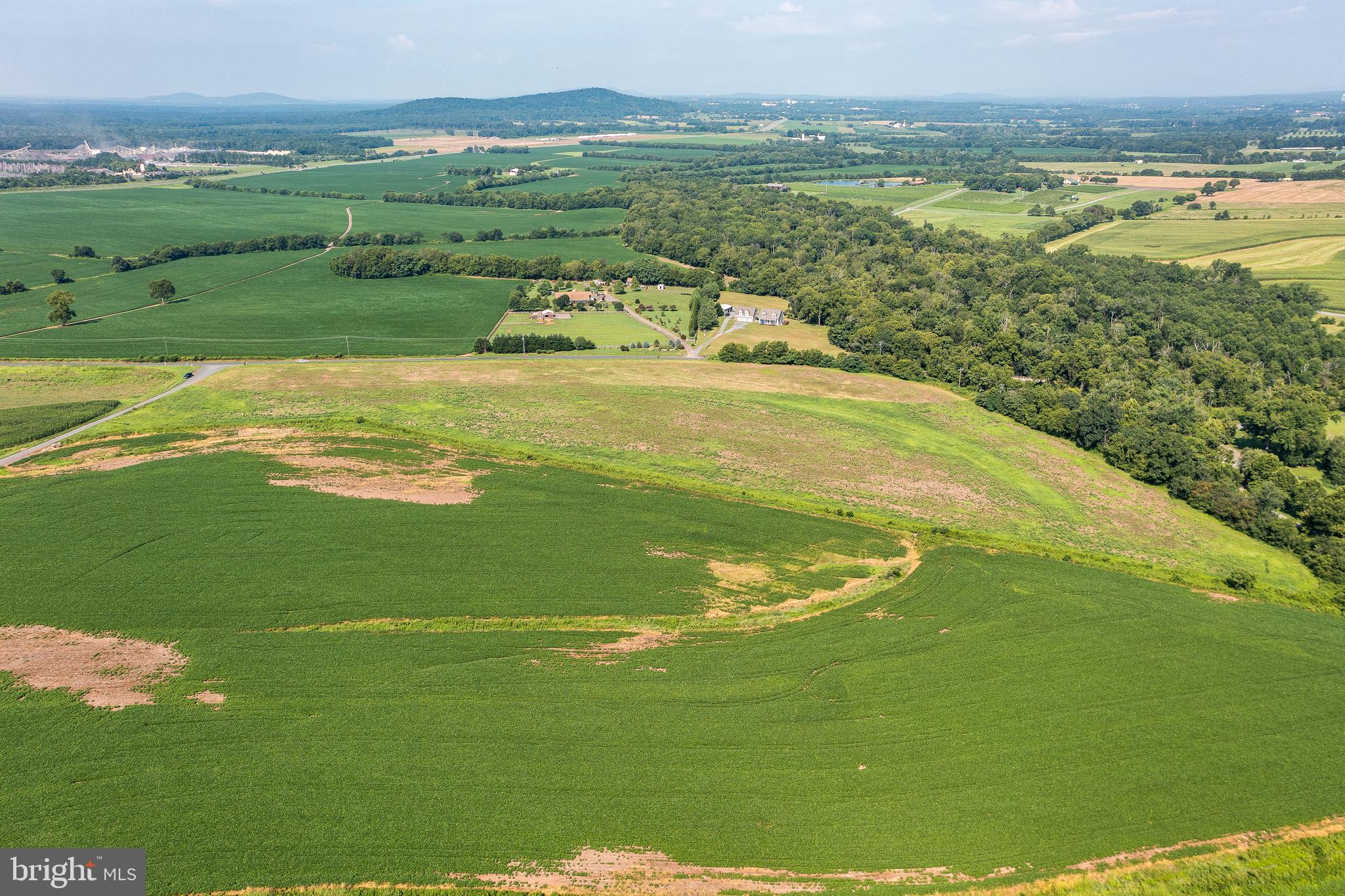 1 Stevensburg Road Culpeper, VA 22701 - Photo 5 of 9 a view of a lake with a yard