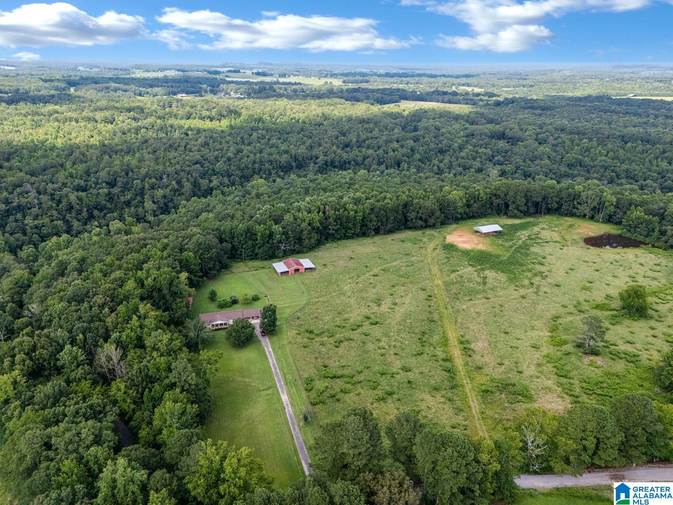2627 Bend Road Blountsville, AL 35031 - Photo 48 of 53