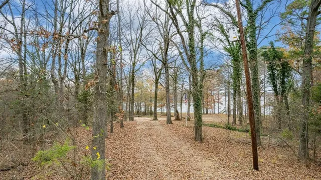 a backyard of a house with lots of green space