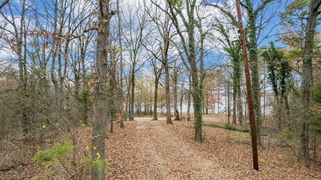 648 County Road 2337 Pittsburg, TX 75686 - Photo 11 of 21 a view of outdoor space with trees
