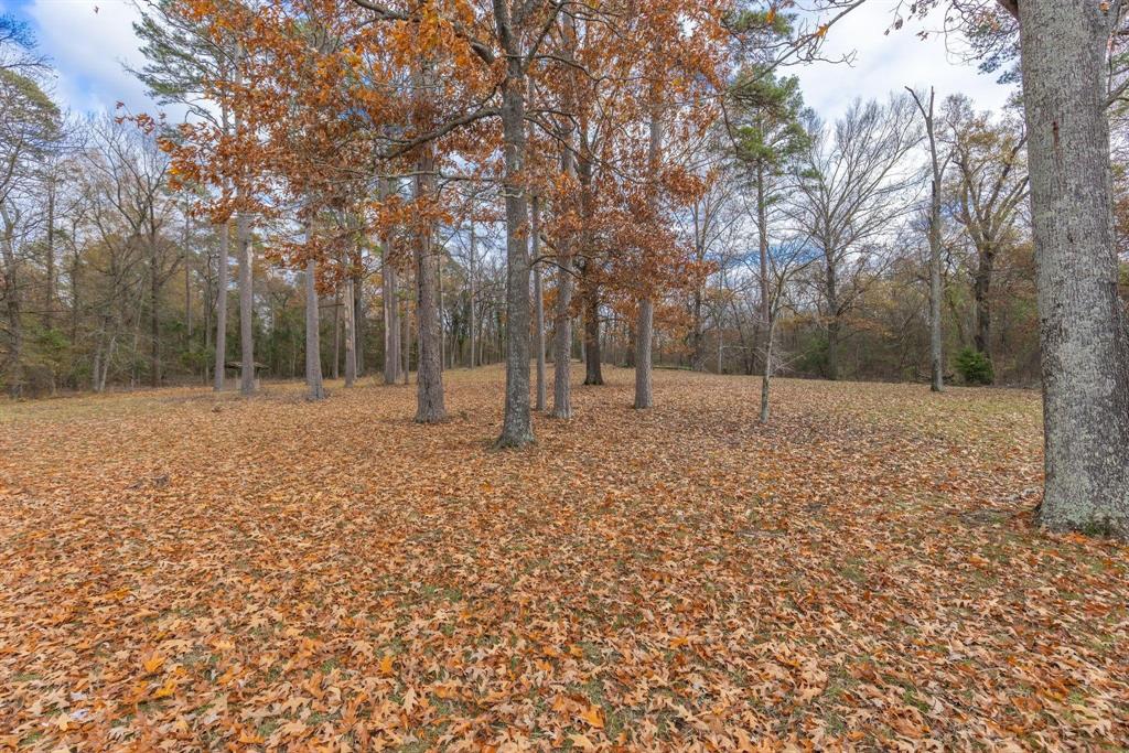 648 County Road 2337 Pittsburg, TX 75686 - Photo 12 of 21 a backyard of a house with lots of green space