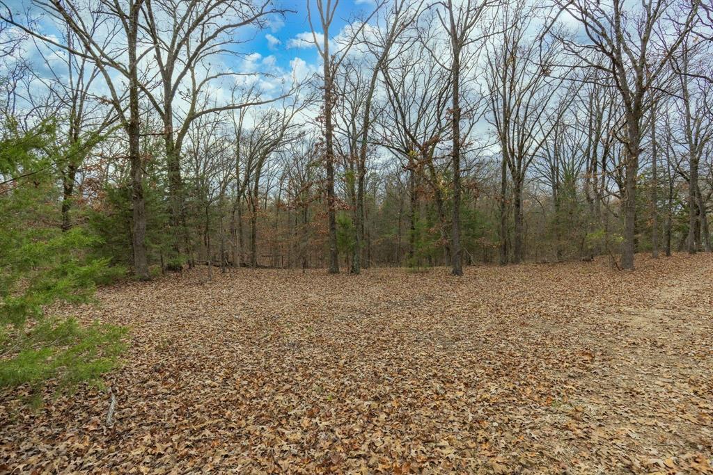 648 County Road 2337 Pittsburg, TX 75686 - Photo 13 of 21 a backyard of a house with lots of green space
