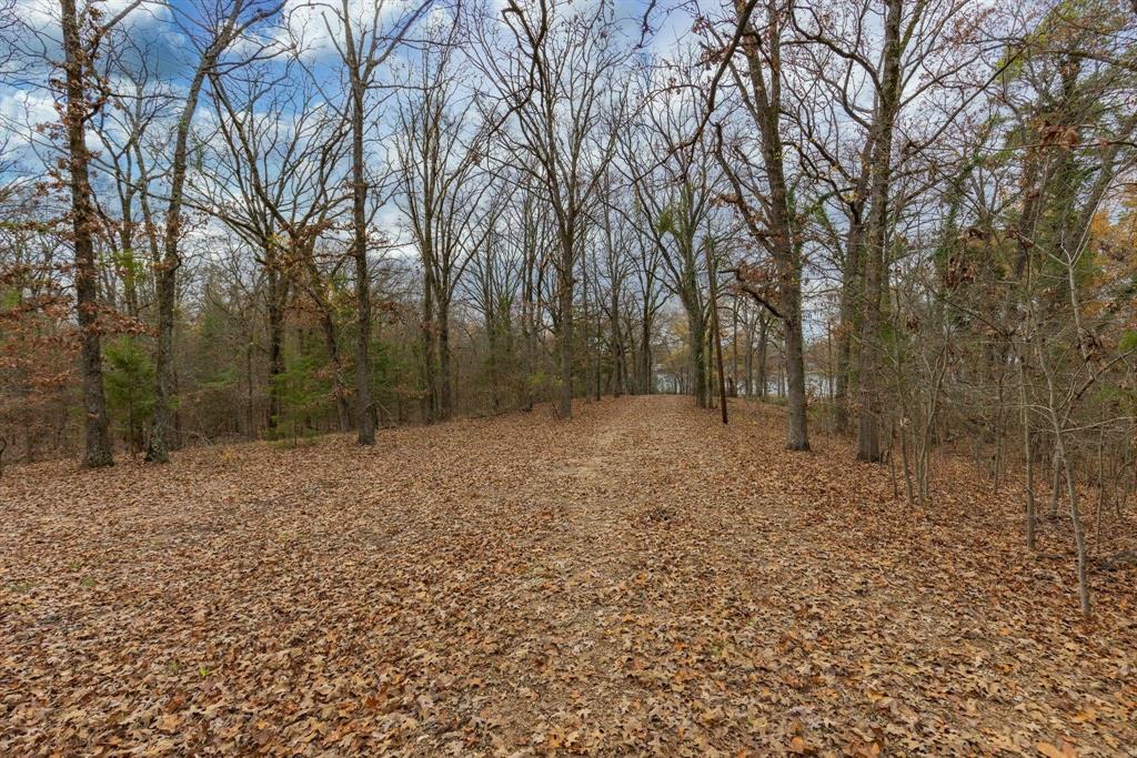 648 County Road 2337 Pittsburg, TX 75686 - Photo 14 of 21 a backyard of a house with lots of green space