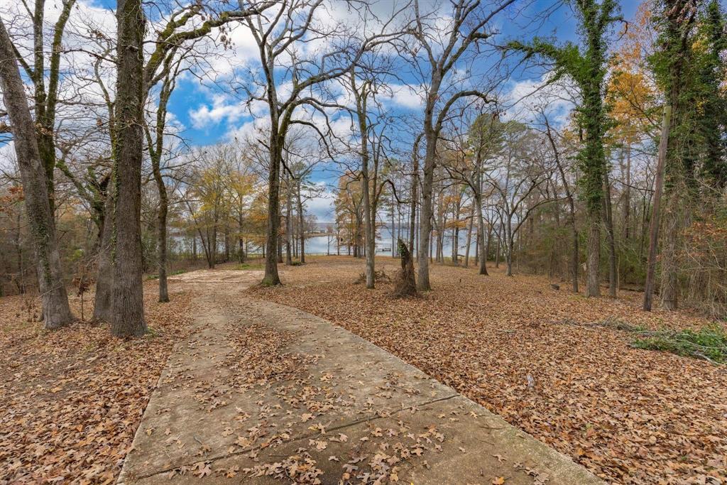 648 County Road 2337 Pittsburg, TX 75686 - Photo 21 of 21 a backyard of a house with trees