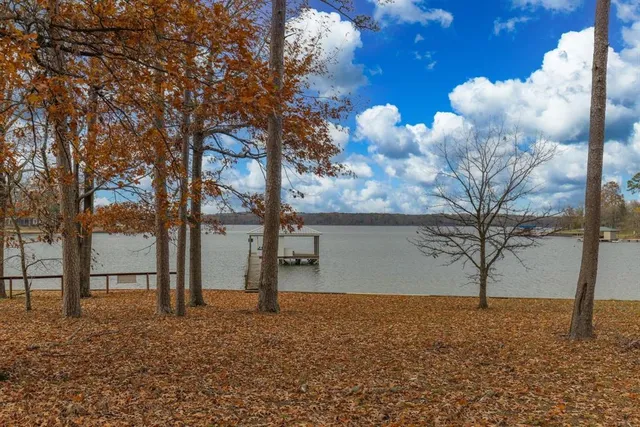 a view of a yard with a tree