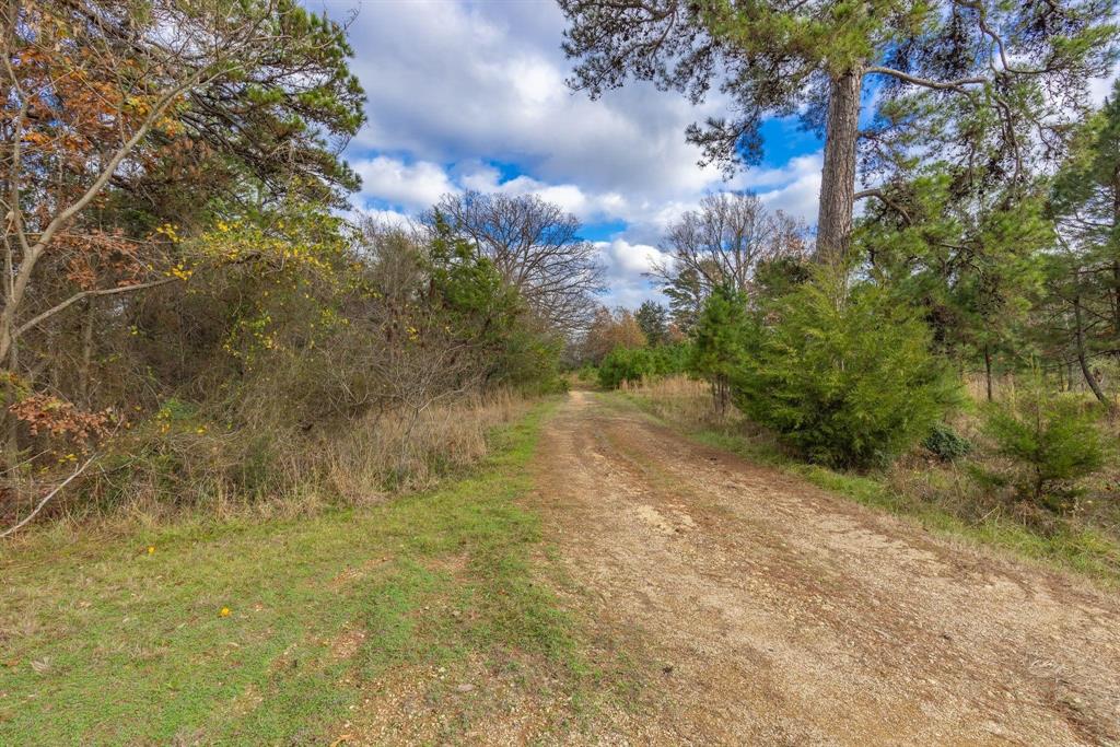 648 County Road 2337 Pittsburg, TX 75686 - Photo 10 of 21 a view of a yard with a tree
