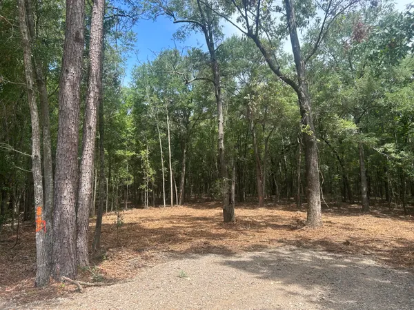 $39,000 | 8 Francis Marion Boulevard, Summerton, SC 29148