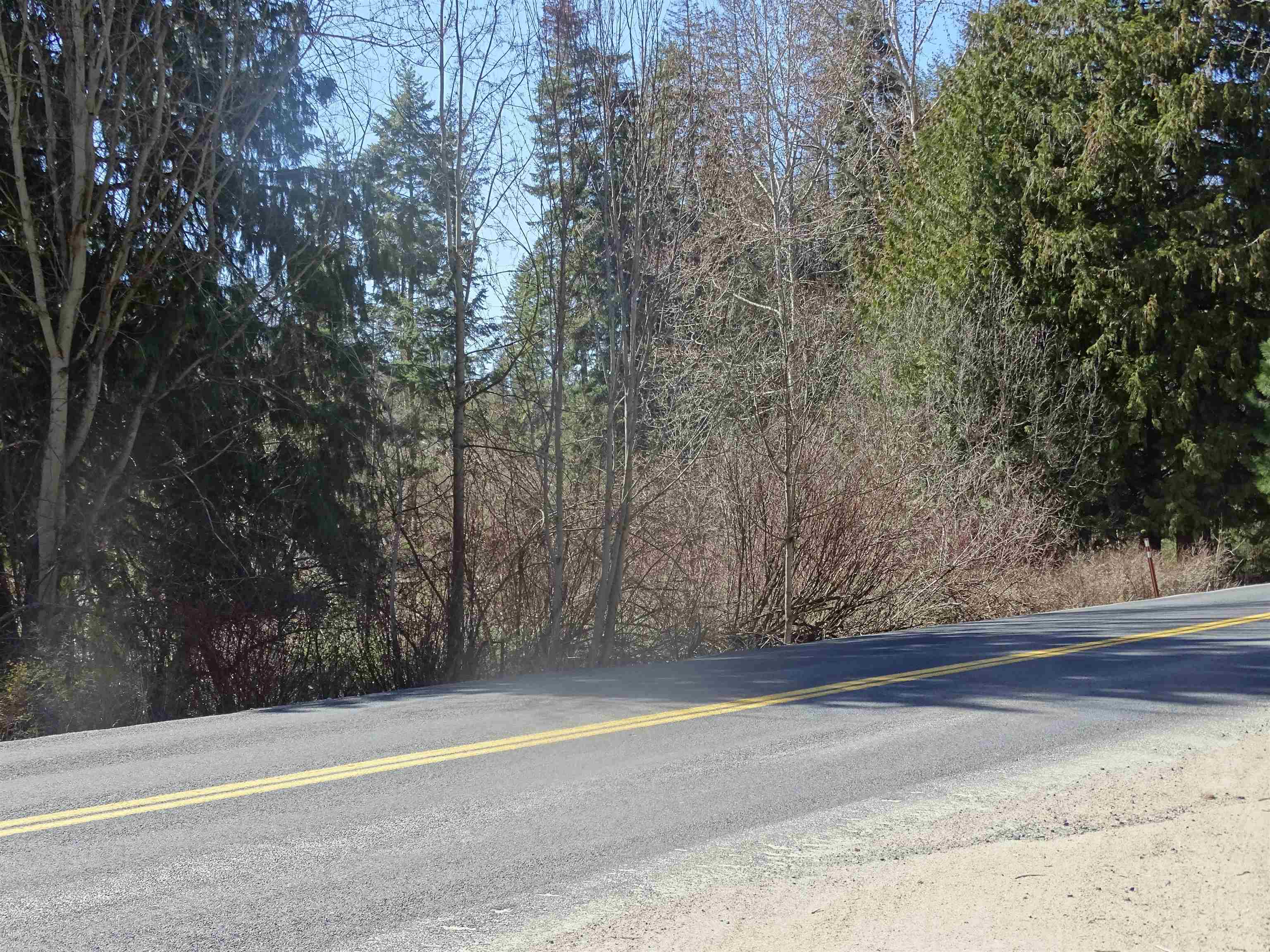 17208 East Blanchard Road Elk, WA 99009 - Photo 14 of 28