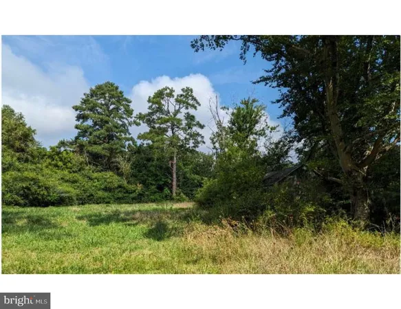 a open area with green field