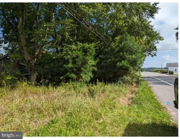 a view of a lush green forest with lots of trees