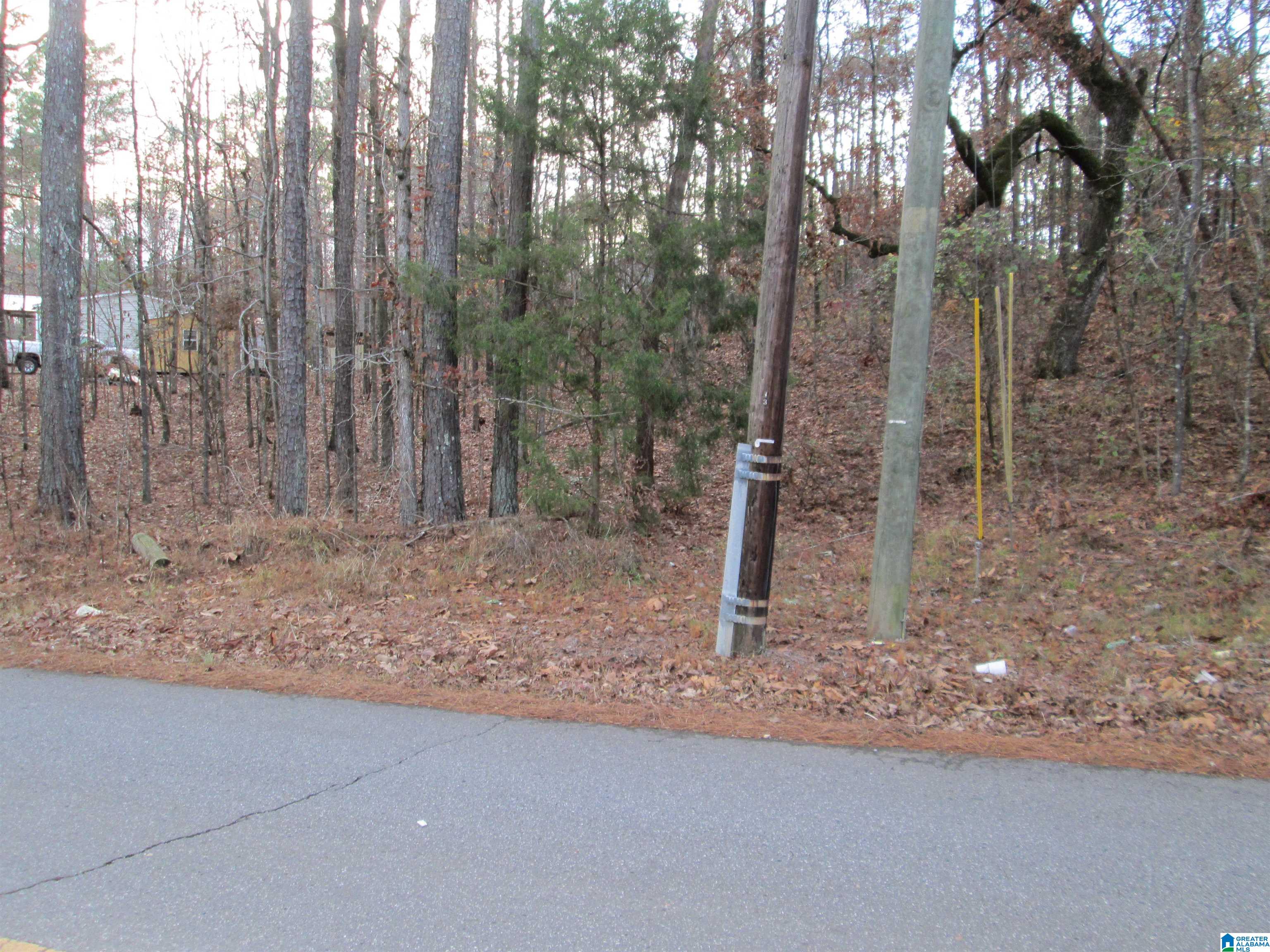 Parsons Drive, Unit 3 Vance, AL 35490 - Photo 4 of 6