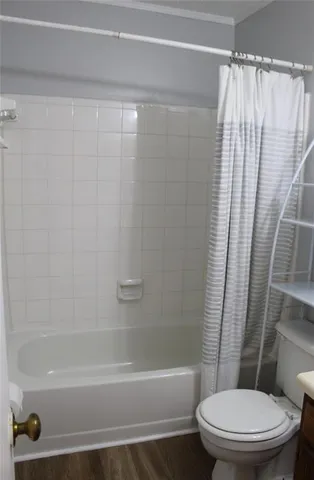 a bathroom with a toilet and a bathtub
