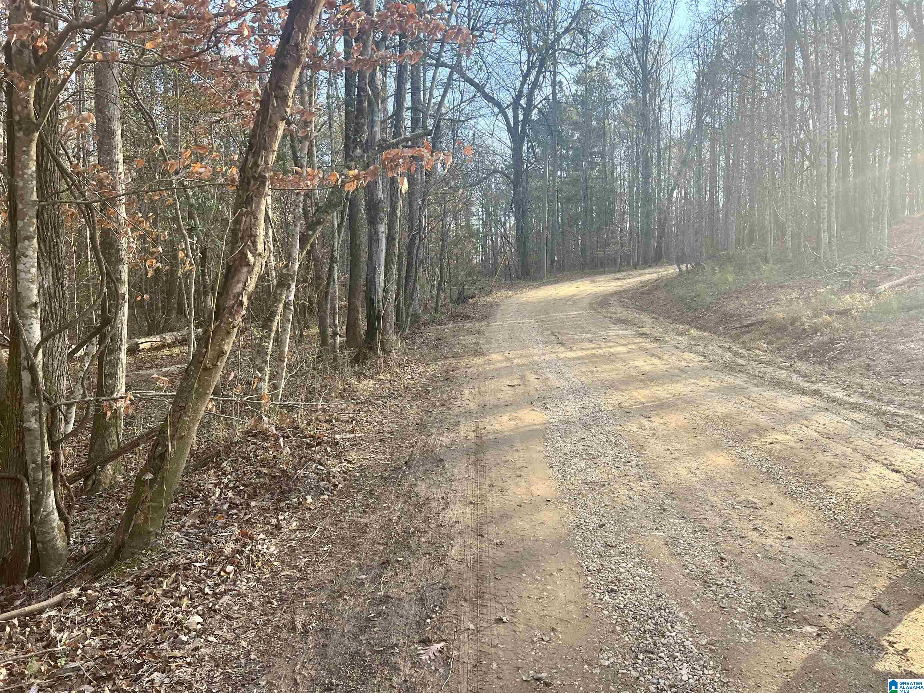 0 Old Rockhouse Road Sylacauga, AL 35150 - Photo 3 of 6