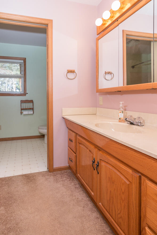 56582 Territorial Road Decatur, MI 49045 - Photo 28 of 46 Hall bath