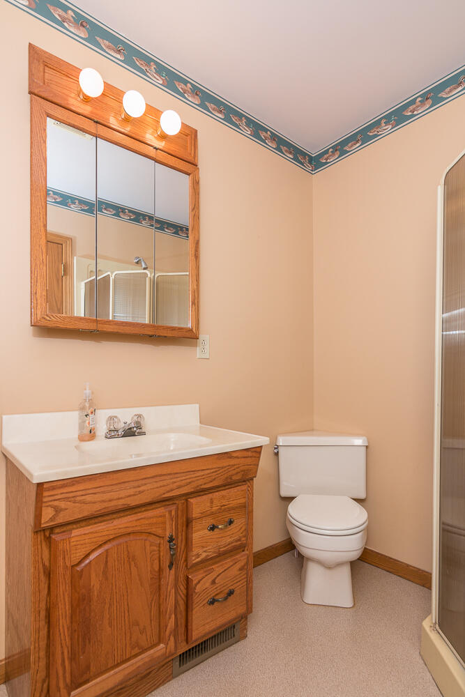 56582 Territorial Road Decatur, MI 49045 - Photo 31 of 46 Bath 2