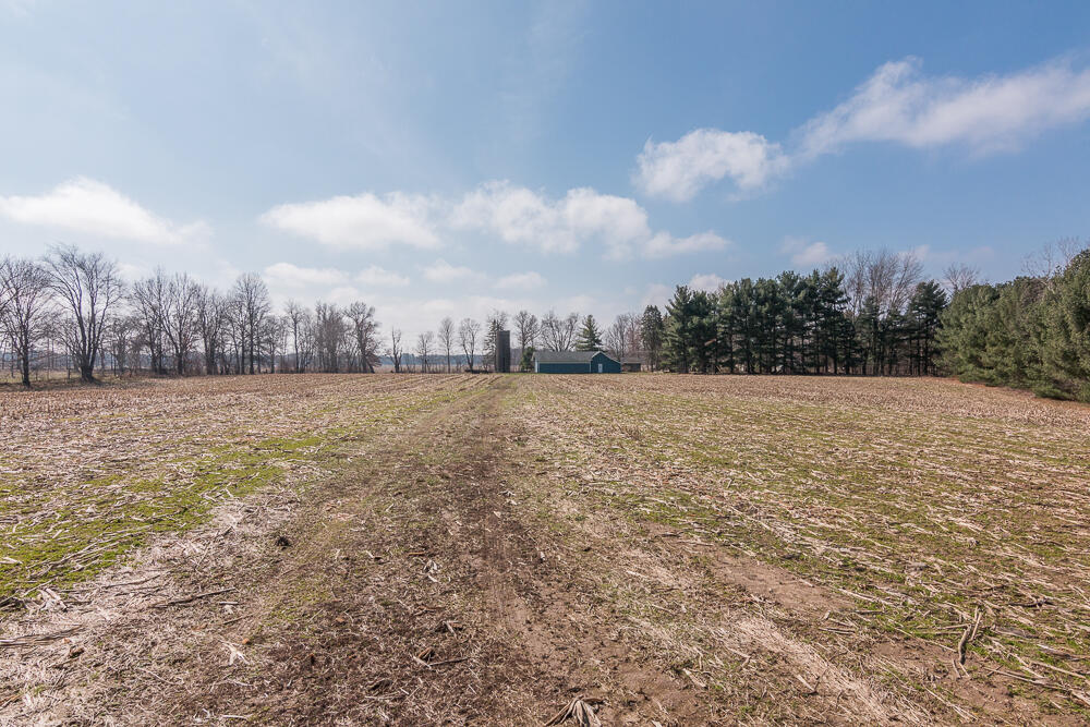 56582 Territorial Road Decatur, MI 49045 - Photo 43 of 46 Back b