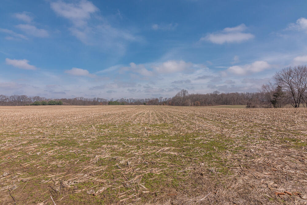 56582 Territorial Road Decatur, MI 49045 - Photo 44 of 46 Acreage