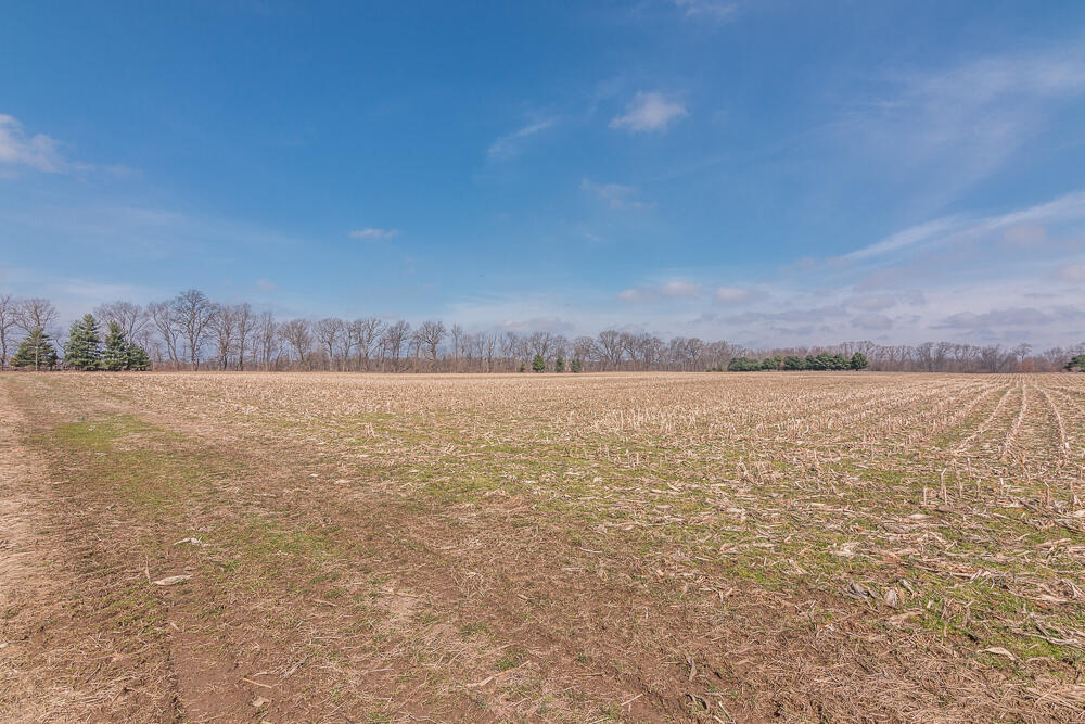 56582 Territorial Road Decatur, MI 49045 - Photo 45 of 46 Acreage a