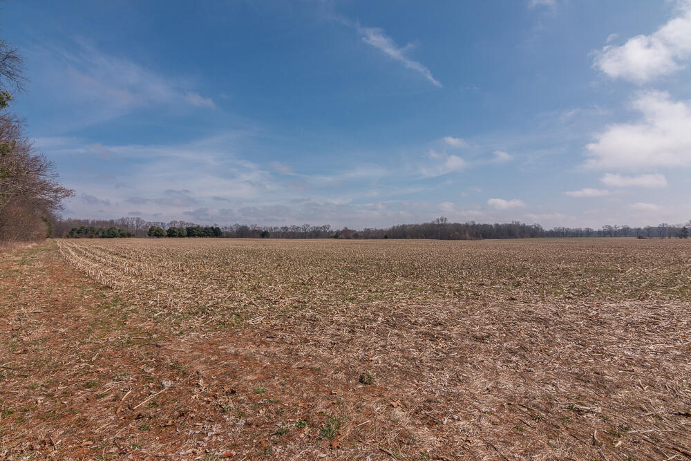 56582 Territorial Road Decatur, MI 49045 - Photo 46 of 46 Acreage b