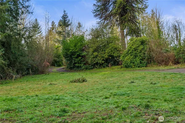 a big yard with lots of green space and palm trees