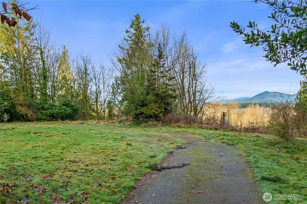 a view of a back yard
