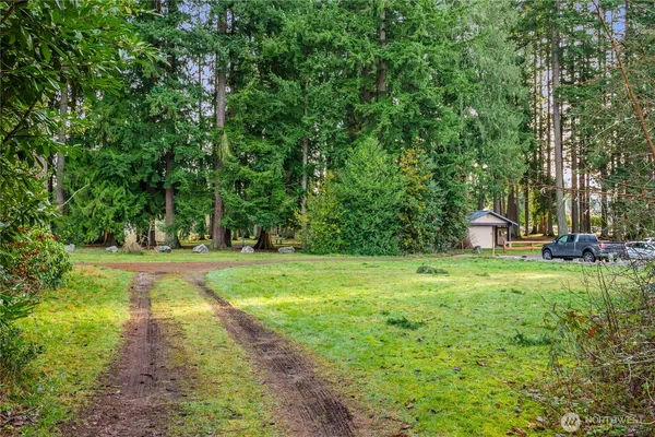 a view of a trees with a yard