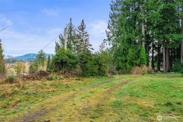 a view of outdoor space with trees all around