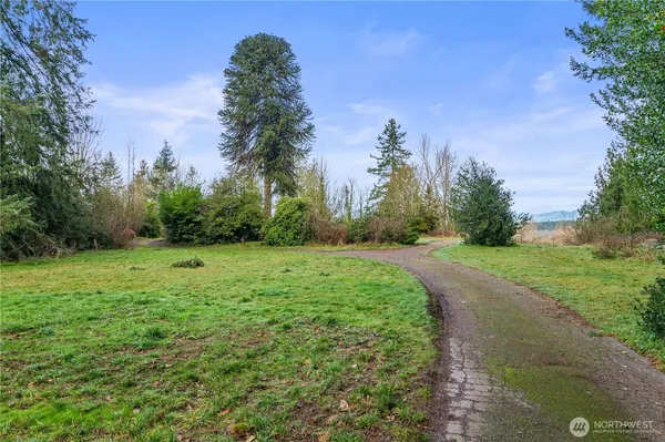 a view of a garden with trees in the background