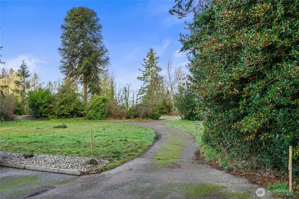 a view of a garden with a tree
