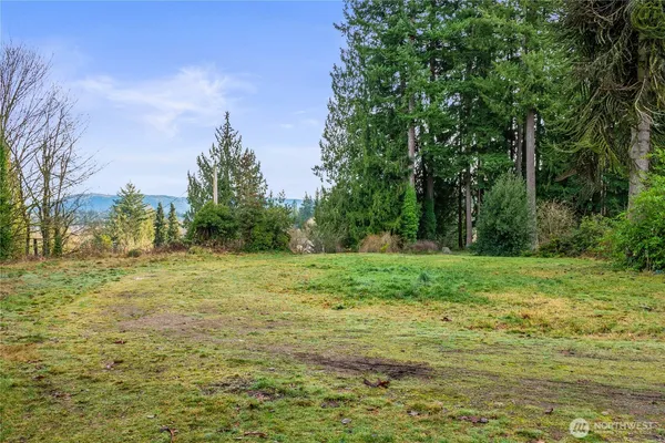 a view of a field with trees