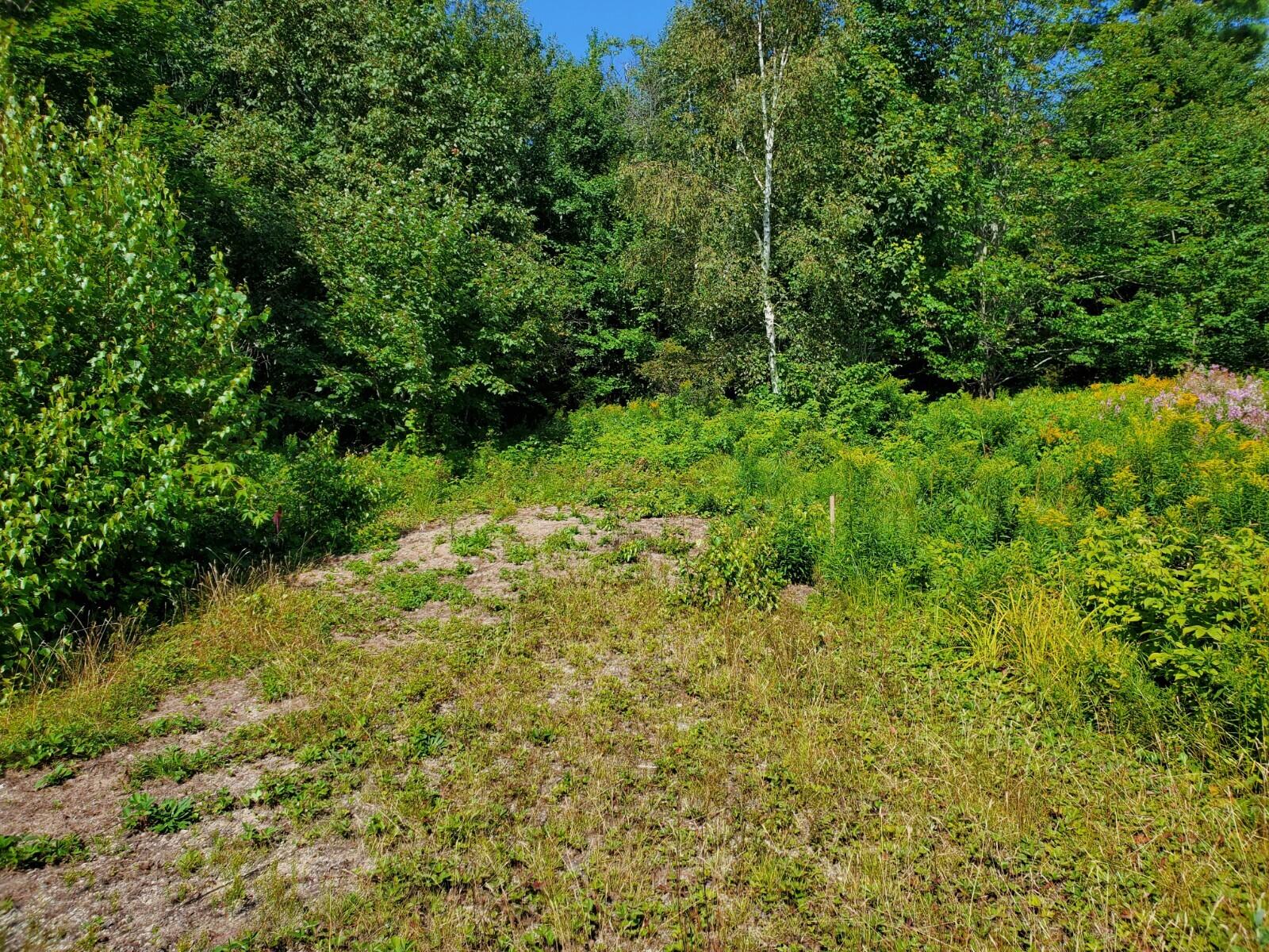 38 L Road Deblois, ME 04622 - Photo 4 of 13 20210816_105509