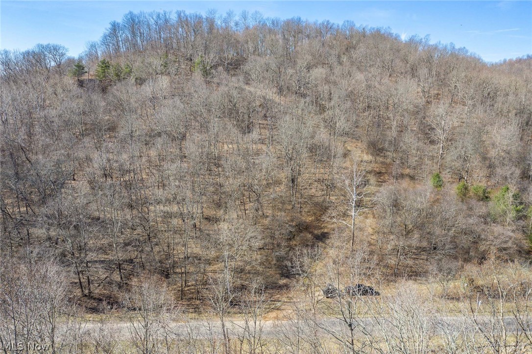 6435 Buttermilk Road Blue Rock, OH 43720 - Photo 29 of 33 Gallery Image 29