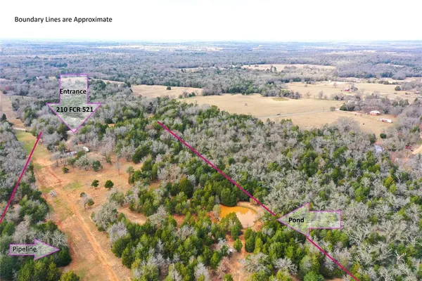 a view of yard with trees