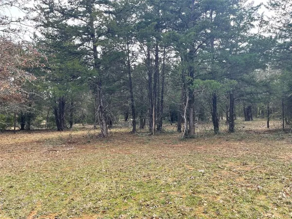 a view of a yard with wooden fence