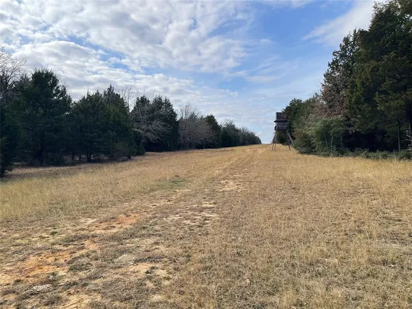 an aerial view of forest