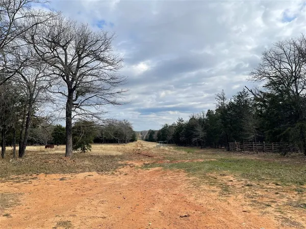 a view of a yard with large trees