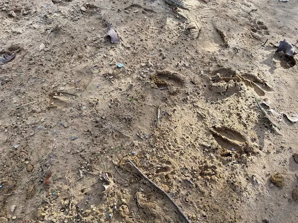 a fire hydrant in middle of a field