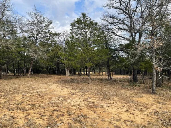 a view of outdoor space with trees