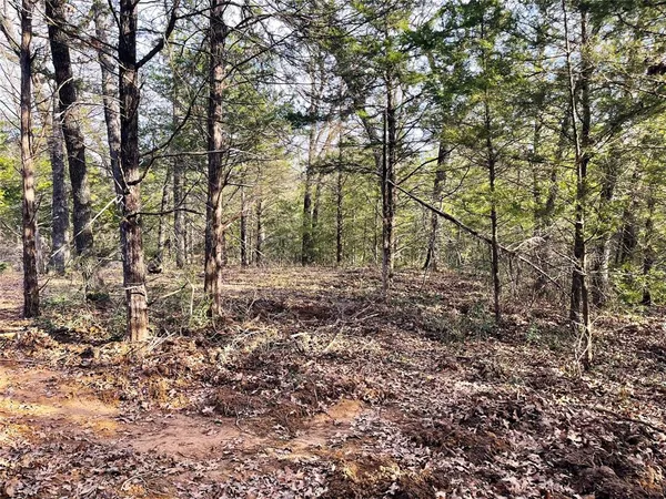a view of yard covered with snow