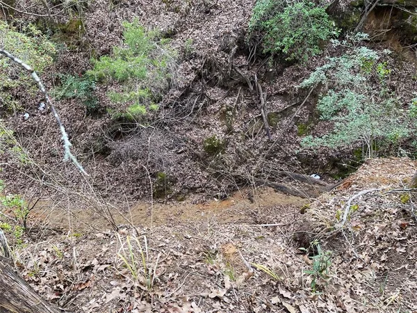 a view of outdoor space with trees