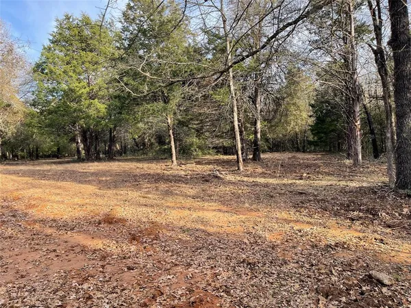 a view of road with trees