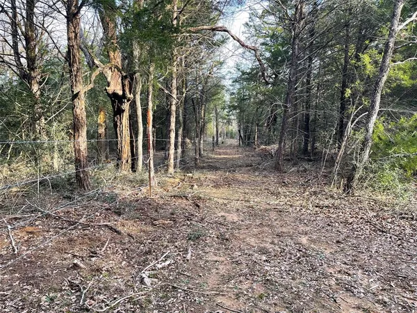 a view of a yard with large trees