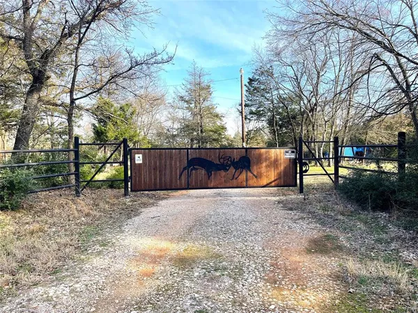a view of backyard with tree