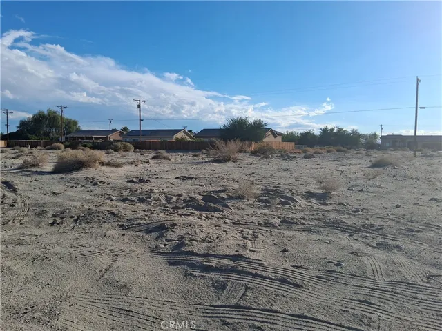 a view of a dry yard