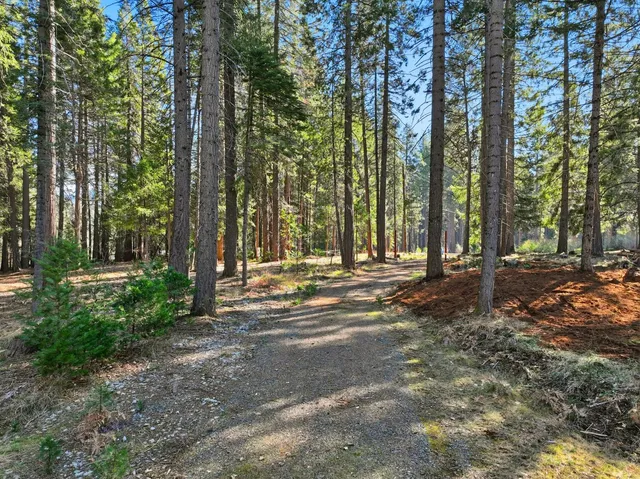 a view of road with trees
