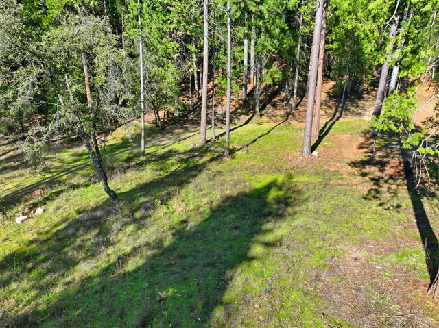 a view of outdoor space with trees all around