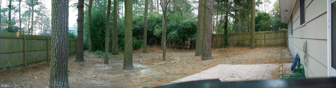 519 Loblolly Lane Salisbury, MD 21801 - Photo 14 of 17 Gallery Image 14