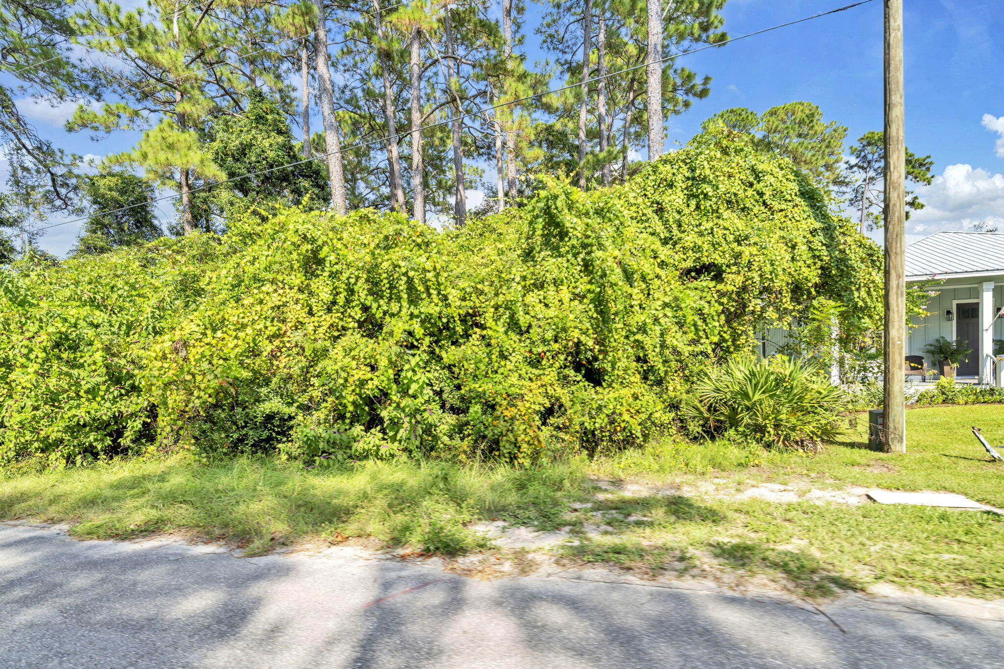 Lot 7 South Magnolia Beach Way Santa Rosa Beach, FL 32459 - Photo 11 of 21 a view of a yard with plants and large trees