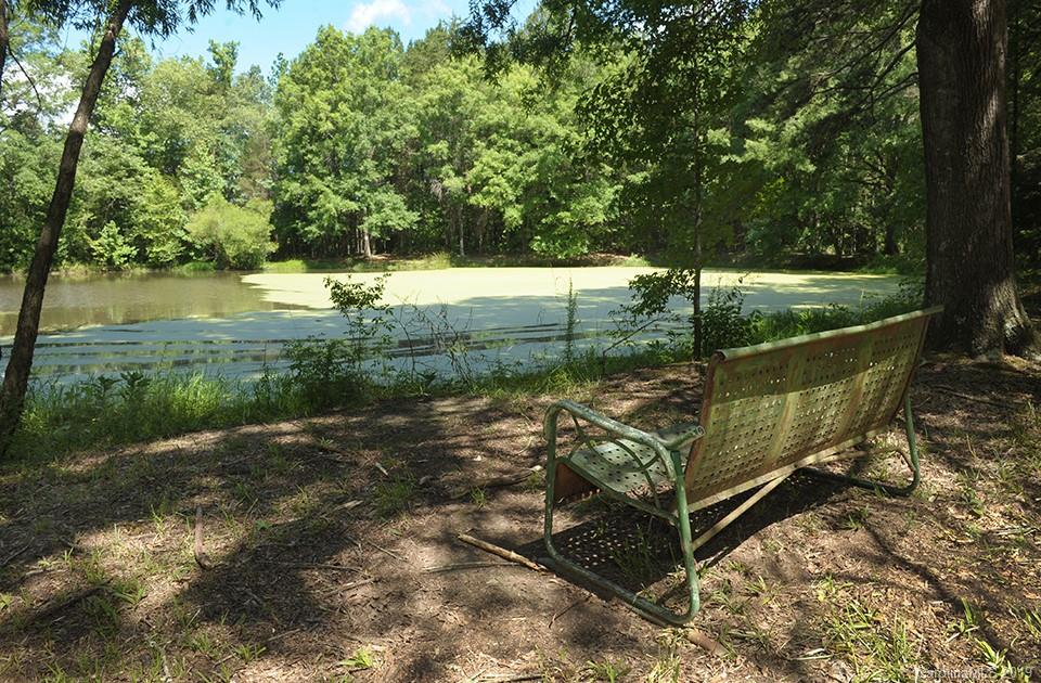 1670 Mt Vernon Road Woodleaf, NC 27054 - Photo 39 of 39 Gallery Image 39