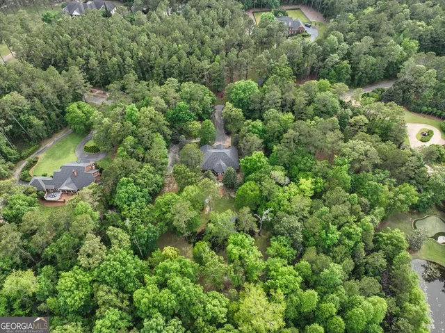 a view of a tree in the middle of a yard